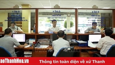 Tạm dừng việc ban hành quyết định kiểm tra thuế