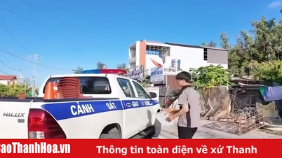 Les informations officielles concernant la vidéo suspecte montrant des policiers de la circulation transportant un candidat endormi sont une mise en scène