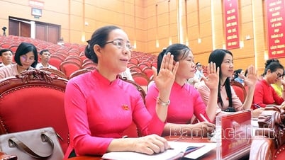 25e session, Conseil populaire du district de Yen Phong, 20e mandat