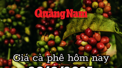 Khủng hoảng giá cà phê, làn sóng đẩy giá xuất khẩu ồ ạt khiến dư thừa toàn cầu