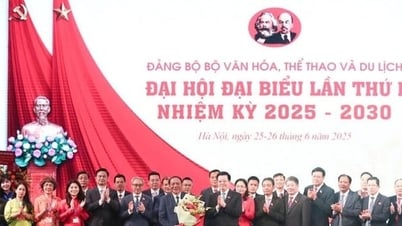 2025～2030年度文化体育観光省党大会：