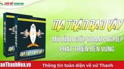 Ma trận bao vây: Mô hình giúp doanh nghiệp phát triển bền vững