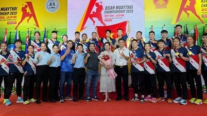 Việt Nam giành vị trí Nhất toàn đoàn tại Giải Muay vô địch châu Á