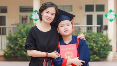 សិស្សប្រុសគឺជាគ្រូបង្រៀនពីររូបនៃអនុវិទ្យាល័យ Nguyen Tat Thanh និងសាកលវិទ្យាល័យអប់រំដែលមានទេពកោសល្យ