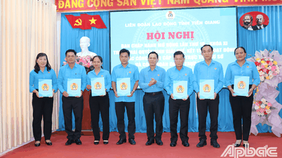 Tiền Giang: Phong trào công nhân và hoạt động Công đoàn đạt nhiều kết quả