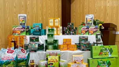 22 продукта, участвующие в оценке и классификации провинциального ОСОП в 2025 году