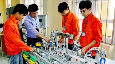 ផ្តោតលើការអភិវឌ្ឍន៍មហាវិទ្យាល័យបច្ចេកវិទ្យា Vinh Phuc ទៅជាសាលាគុណភាពខ្ពស់
