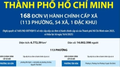Thông tin chi tiết về 113 phường của thành phố Hồ Chí Minh