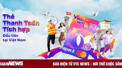 Upgrade chip card - receive thousands of incentives with VikkiGO Integrated Payment card