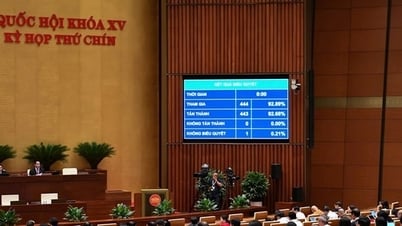 Tiếp tục miễn thuế sử dụng đất nông nghiệp đến hết 31-12-2030