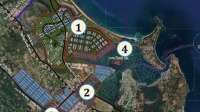 Quang Nam aprueba la planificación de una zona franca de 744 ha