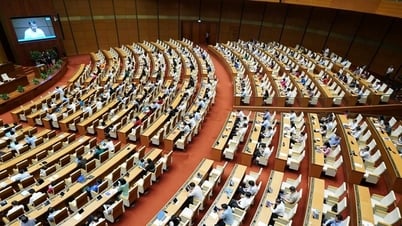 Through the State Budget Law (amended): The most effective level will be assigned to that level