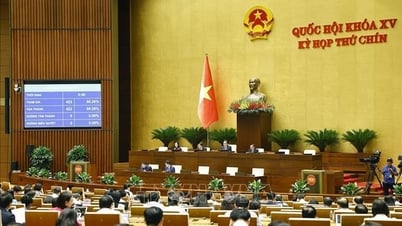 البيان الصحفي رقم 34، الدورة التاسعة، الجمعية الوطنية الخامسة عشرة
