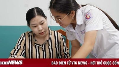 15 schools with the sharpest drop in 10th grade benchmark scores in Ho Chi Minh City