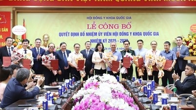 Chuẩn hoá năng lực bác sỹ và các chức danh y tế