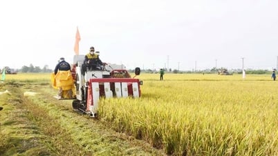 Linking consumption of agricultural products of the island