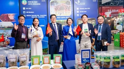 Top 10 mẫu cà phê đặc sản Việt Nam 2025 tham gia Triển lãm Busan Coffee Show