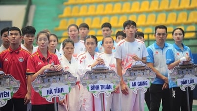Casi 500 atletas compiten en el Campeonato Nacional de Karate 2025