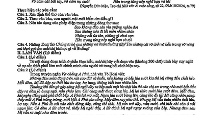 Nhận xét và gợi ý đáp án đề thi môn Ngữ văn (theo chương trình cũ)