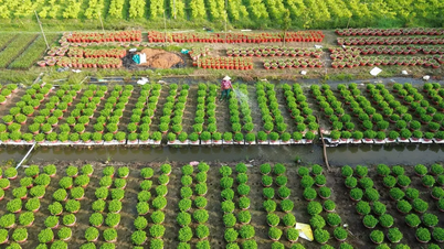 Phong trào xây dựng nông thôn mới ở Bến Tre: Diện mạo mới trên từng thôn, xóm