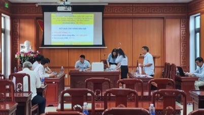 ខេត្ត Quang Nam៖ អណ្តូង​ខ្សាច់​បន្ត​ត្រូវ​បាន​ដាក់​ដេញ​ថ្លៃ​ក្នុង​តម្លៃ​ខ្ពស់​ជាង​តម្លៃ​ចាប់​ផ្តើម​រាប់​សិប​ដង។