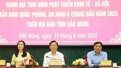 Das Wirtschaftswachstum in Dak Nong erreichte in den ersten sechs Monaten des Jahres 7,9 %