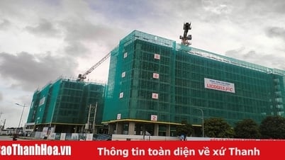 Kịp thời kiểm tra việc bán, cho thuê nhà ở xã hội để phòng ngừa tiêu cực, lãng phí