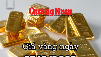 Nachrichten: Die Goldpreisprognose für morgen, den 27. Juni 2025, erhält neue Auswirkungen, wenn die Fed kritisiert wird und der USD abstürzt