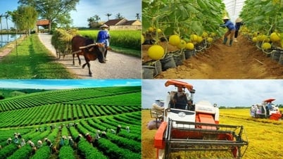 การพัฒนาสถาบันเกษตร เกษตรกร และชนบทให้สมบูรณ์แบบยิ่งขึ้น
