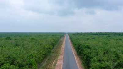 Dau Tieng Rubber One Member Co., Ltd.: Вклад в зеленое развитие