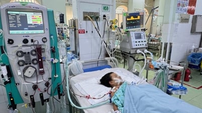 Dengue fever outbreak in Ho Chi Minh City, many children in critical condition