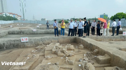 Hanoi classe le site archéologique de Vuon Chuoi comme une relique de niveau urbain