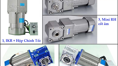 Hướng dẫn cách chọn hộp số băng tải phù hợp
