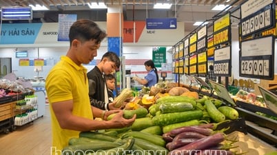 Thương mại - dịch vụ Sóc Trăng tiếp tục phát triển trước thềm sáp nhập tỉnh