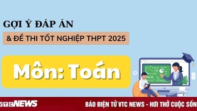 2025년 고등학교 졸업 수학 시험 답안, 모든 시험 코드