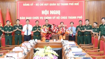 Thượng tá Trương Viết Hải giữ chức vụ Chính ủy Bộ Chỉ huy Quân sự thành phố