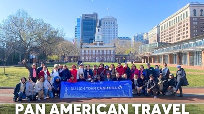 Pan American Travel - Lựa chọn hàng đầu cho hành trình tour Mỹ