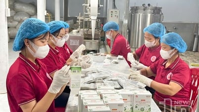 Фермеры из племени тайских нгуенов соревнуются в качественных показателях производства и бизнеса