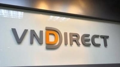 VNDirect plant die Ausgabe von Anleihen im Wert von 2.000 Milliarden VND an die Öffentlichkeit