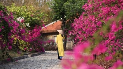 Du khách ưu tiên lựa chọn những điểm đến đảm bảo trách nhiệm với môi trường và cộng đồng