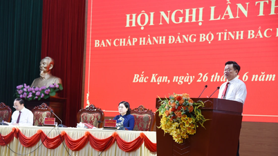 Hội nghị Ban Chấp hành Đảng bộ tỉnh Bắc Kạn lần 20 (khóa XII)