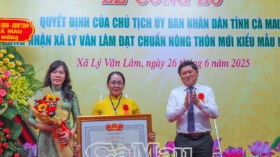 Ca Mau es la primera comuna que cumple con los nuevos estándares rurales