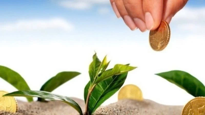 Bedrifter fullfører utbytteutbetalinger, uken fra 24. til 28. november