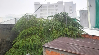 Bến Tre ảnh hưởng áp thấp nhiệt đới