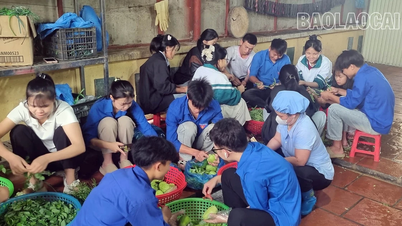 Bữa cơm ấm lòng sĩ tử