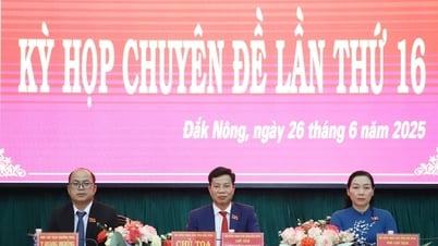 Kỳ họp chuyên đề lần thứ 16, HĐND tỉnh Đắk Nông khóa IV