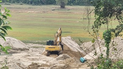 Mỏ cát ở Quảng Nam được đấu giá cao gấp 77 lần giá khởi điểm