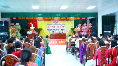Đảng bộ Công ty TNHH-MTV Thủy lợi Bắc Nghệ An tổ chức thành công Đại hội nhiệm kỳ 2025 – 2030