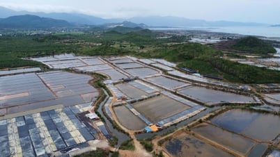 Résolution des difficultés du projet de parc industriel de Doc Da Trang