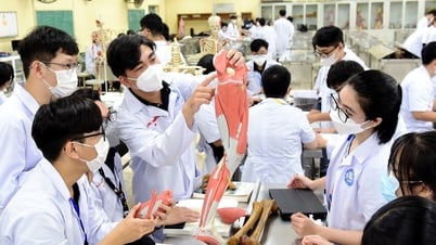 Medical students will soon have to take an 'international standard' competency assessment test before practicing.
